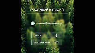 послушай и УГАДАЙ звуки природы 4К #звуки #природы #послушай #угадай #89513906122