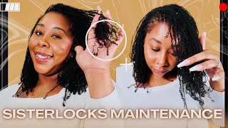 How to Keep Curly Ends Defined- Sisterlocks Maintenance