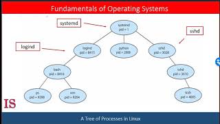 M2U3L3 Memory Manager the Process Control Block