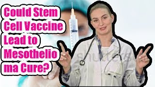 Could Stem Cell Vaccine Lead to Mesothelioma Cure?