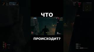 Неадекватное поведение мобов в Valheim