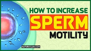 How To Increase Sperm Motility, Count Azoospermia Infertility Treatment