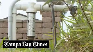 Florida residents seek solutions amid rain shortages