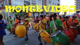 Montevideo que lindo te veo. Carnaval, Mercado Williman.