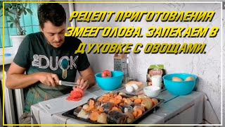 Рецепт приготовления змееголова. Запекаем рыбу в духовке с овощами. Вкусные блюда из рыбы.