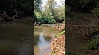 Achei um Lugar Escondido que é o Ninho do Piau #shorts !