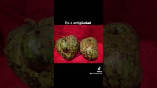 Como era la fruta en la antigüedad #frutas #miedo #frutas