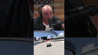 Joe Rogan on DUMB Buffalos! 🤣