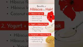 Benefits of hibiscus 🌺 for hair #shorts