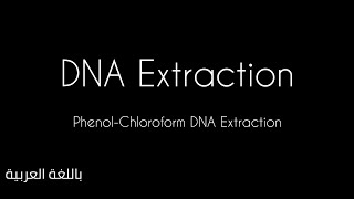 استخلاص الDNA بالعربي /  Phenol-chloroform DNA Extraction