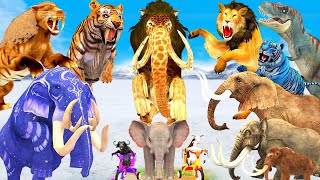 3 Zombie Tiger 2 Giant Lion Dinosaur vs 3 Elephant Cow Buffalo Gorilla Fight for Baby Elephant