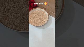 এক কাপ গরম চা এর সাথে চাল ভাজা বেস্ট 🥰