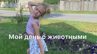 Мой день с животными 🐾🤍🐹🐰🐈🐌🐈🐡🐠🐟