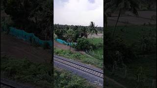 Nature shorts on evening time || Pattukkottai || Tamilnadu #pattukkottai