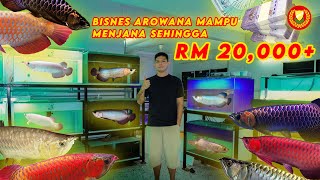 TIPS UNTUK NEWBIE | Beza Antara Highback / Super Highback / Crossback / YT Aquatic Showroom Aro