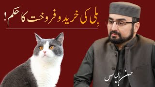 Ruling On Buying Cats || By Hasan Ilyas