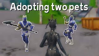 Adopting two enemies in Fortnite duo's