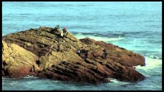 Las Cofradías Y Su Labor Ribadeo