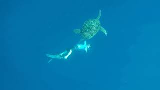 Freediving Gili island