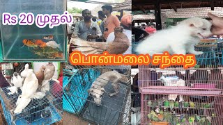 பொன்மலை சந்தை ல ஒரு முறை விட்டுட்டா மறுபடியும் கிடைக்காது/ ponmalai santhai part 2