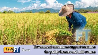 Government announces support measures for paddy farmers and mill owners