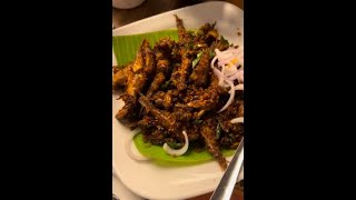 Crispy fry fish with mutton biryani | South Indian dish @petsandfoodsfamily6333