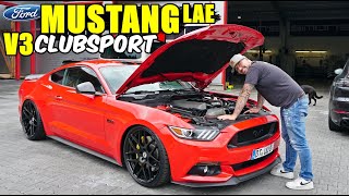 Ein Exote bei gepfeffert / Ford Mustang (LAE)