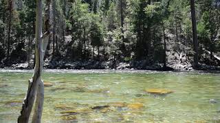 Kings Canyon National Park - South Fork Kings River near Cedar Grove Lodge [5/7]