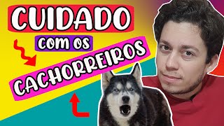 CUIDADO com os CACHORREIROS | Eles estão em toda parte!