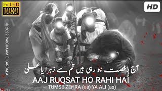 Aaj Ruqsat Ho Rahi hain Tumse Zehra Ya Ali | Whatsapp Status | By Paighaam e karbala