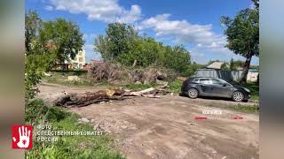 В Копейске дерево упало на пенсионерку  Женщина погибла