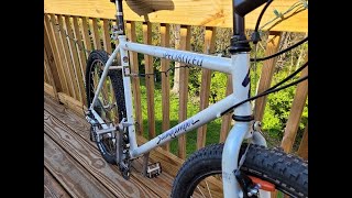 Bike Restoration: 1991 Specialized Stumpjumper