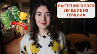 ТОП 10 лучших РАСТЕНИЙ 2023 года | сложный выбор 😎