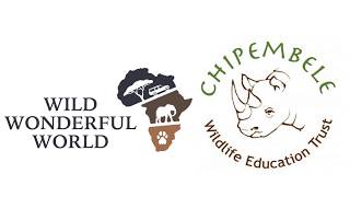 Chipembele Conservation Club