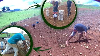 A PROFISSÃO QUE TODOS DEVERIAM VALORIZAR! O PRODUTOR RURAL! (Assista até o fim! Conscientize!)