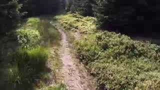 Singletrail von der Hanskühnenburg nach Lonau im Harz