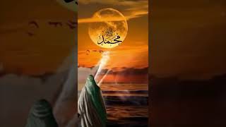 ولد المشرف #الحضرة_الصوفية #sufism #sufi