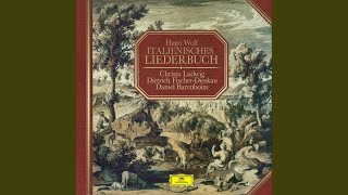 Wolf: Italienisches Liederbuch - No. 32, Was soll der Zorn