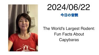 2024/06/22 The World's Largest Rodent: Fun Facts About Capybaras