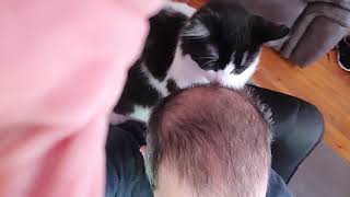 Pixel the cat cleaning my melon