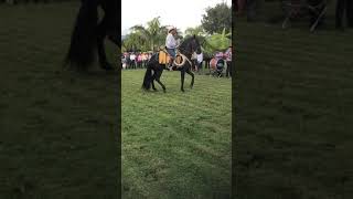 Espectaculo caballos bailadores yautepec