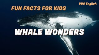 Fun Facts for kids 2024 EP 01: Whale Wonders