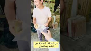 من المواقف الجميلة بين شمري و عنزي #tiktok #shorts #like