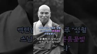 참 이상했던 것은 이때 그의 상반신의 주위에서는 아련한 후광이 일어나서 비치고 있던 일이다.이 빛깔은 지금까지 우리가 보아 온 성인화들에 나타났던 그 후광들의 빛깔과는 다른 빛이어