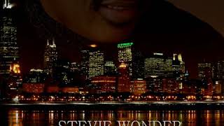 Stevie Wonder ~ Too High (Live Audio) Chicago 2007