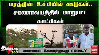 மரத்தின் உச்சியில் கூடுகள்.. சரணாலயத்தில் மாறுபட்ட காட்சிகள்.. பறவைகள் உணர்த்துவது என்ன? Vettangudi