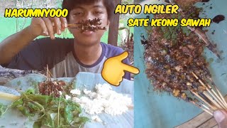 Mencari keong sawah dan mengolahnya menjadi sate keong sawah sambal kacang @TBC_GROUP.