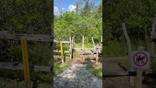 Rhododendron tunnel leading to horse (and pony) barrier