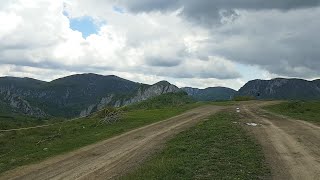 Transalpine from the Apuseni Mountains DJ 107I