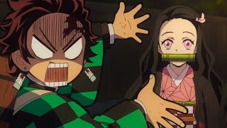 Nezuko being Cute | Demon Slayer [ English Subbed ]